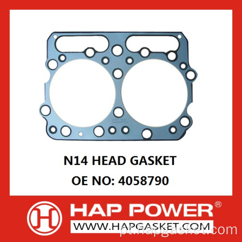 N14 SAIN GASKET 4058790